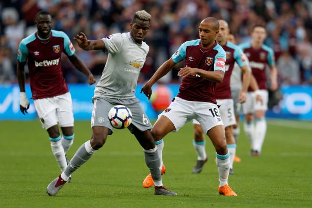 安效力的姜 安效力的姜